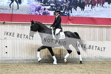 182241_kbb_01_Z095043.JPG