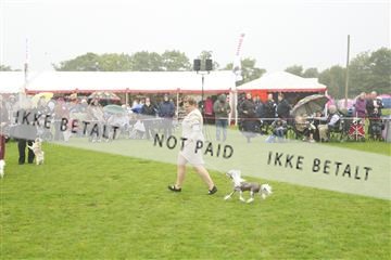 182009_kar_01__62_5812.JPG
