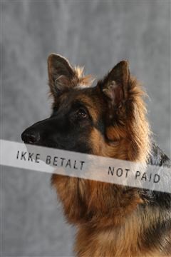 130054_le_ 01_0346.JPG