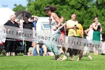 181564_rin_02_R62_3259.JPG