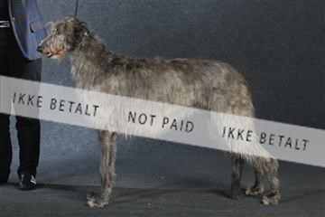 132082_le_ 01_IMG_0843.JPG