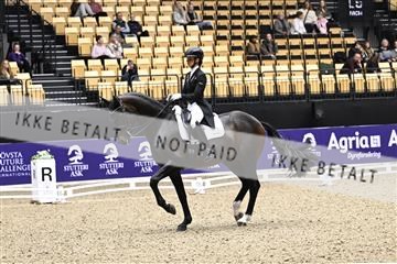 182194_kbb_03_Z099818.JPG