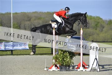 139644_abo_02__AB14773.JPG