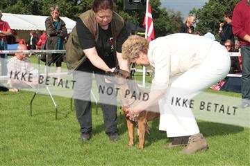 130370_tl_01_IMG_7539.JPG