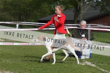 134871_ms_04_IMG_1787.JPG