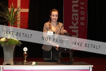 126827_tl_02_IMG_2754.JPG