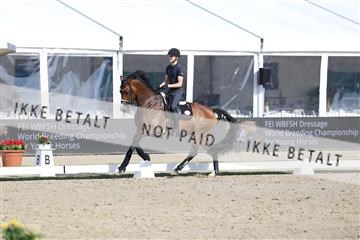 179800_BC_01_00284.JPG