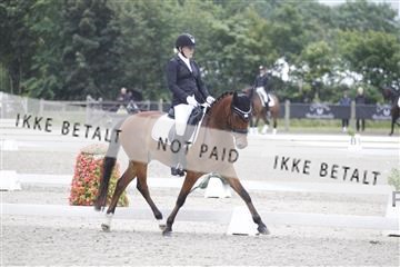 166078_rhj_01__J7R4115.JPG