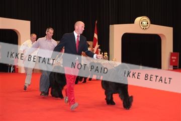 126827_tl_04_IMG_9826.JPG