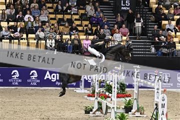 182194_kbb_02_Z099544.JPG