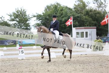 156196_nn_01_IMG_5358.JPG