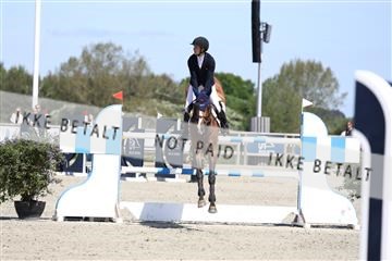 181436_avh_02_4172.JPG