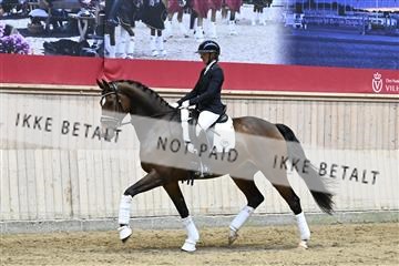 182241_kbb_01_Z093234.JPG