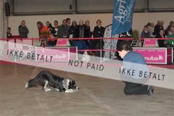 133496_tl_01_IMG_1762.JPG