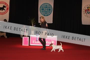 126827_tl_02_IMG_3071.JPG
