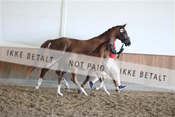 181756_mtp_03_R62_2458.JPG
