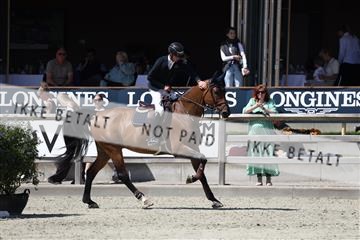 181436_avh_03_4505.JPG