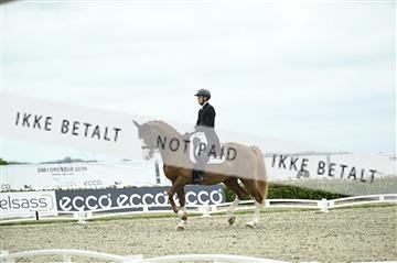 181449_kbb_03_Z092149.JPG