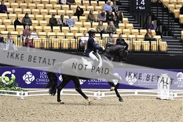 182194_kbb_03_Z099915.JPG