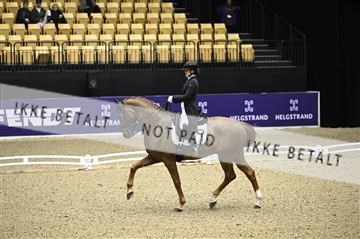 182194_kbb_02_Z098574.JPG