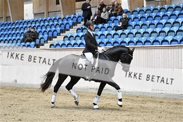 182241_kbb_01_Z094103.JPG