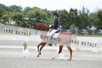 166078_rhj_01__J7R4580.JPG