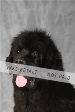 130054_le_ 03_0397.JPG