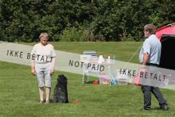 130370_tl_02_IMG_7819.JPG