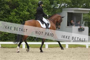 139835_sg_01_IMG_8308.JPG