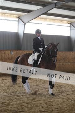 139206_kl_1_8M1Q5413.JPG