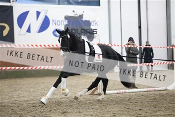 175968_mlm_02_R62_0711.JPG