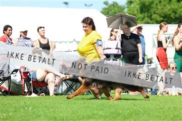 181564_rin_02_R62_3092.JPG