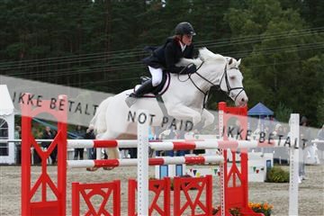 5350_sme _06_IMG_4782.JPG