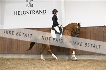 181738_kbb_01_Z090089.JPG