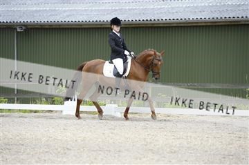 139898_ms_01__MS27562.JPG
