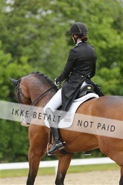 139835_sg_01_IMG_8229.JPG