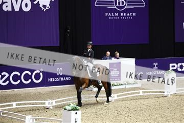 182194_avh_05_2833.JPG