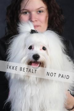 132082_le_ 01_IMG_0293.JPG