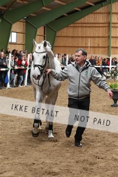 139265_kl_1_8M1Q6379.JPG