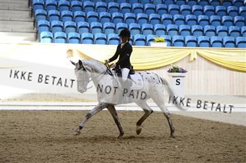 139403_ms_01__MS17816.JPG