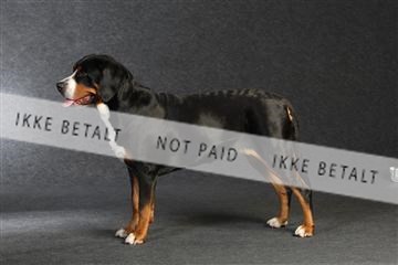 132082_le_ 01_IMG_0022.JPG