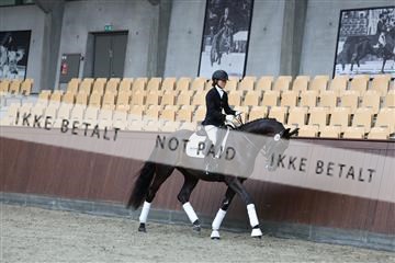 181852_mtp_01_R62_1394.JPG