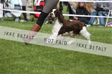 134871_ms_04_IMG_0645.JPG
