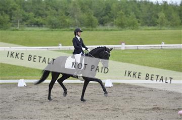 140040_abo_01__AB16477.JPG