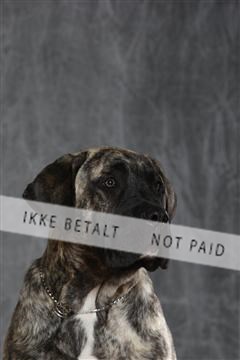 130054_le_ 03_0165.JPG