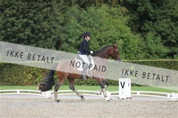 181957_mtp_01_3M5A7713.JPG