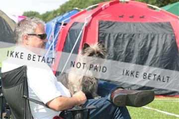 130370_tl_02_IMG_7765.JPG