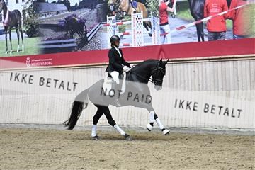 182241_kbb_01_Z094495.JPG