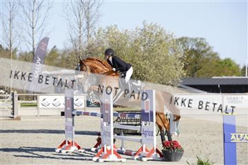 181332_kbb_01_6II3316.JPG