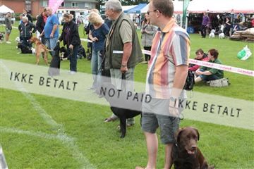 130370_tl_01_IMG_7098.JPG